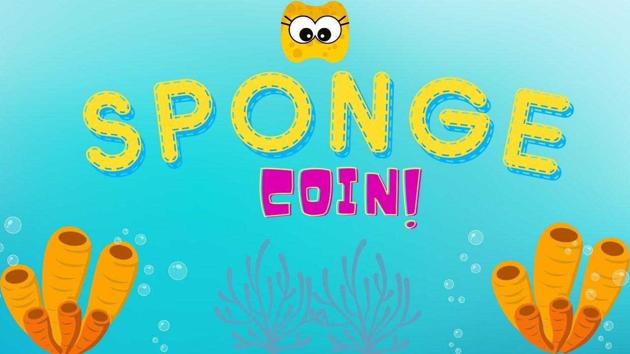 sponge coin