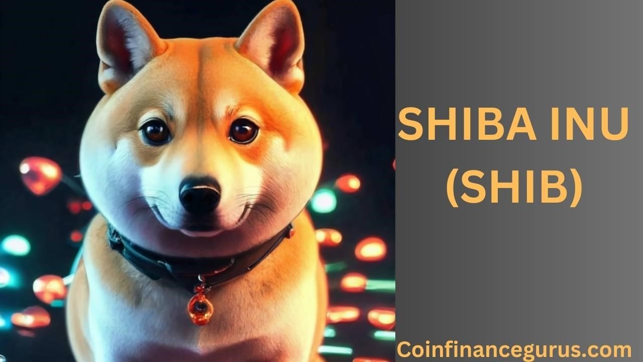 Shiba Inu Coin Price Prediction 2024